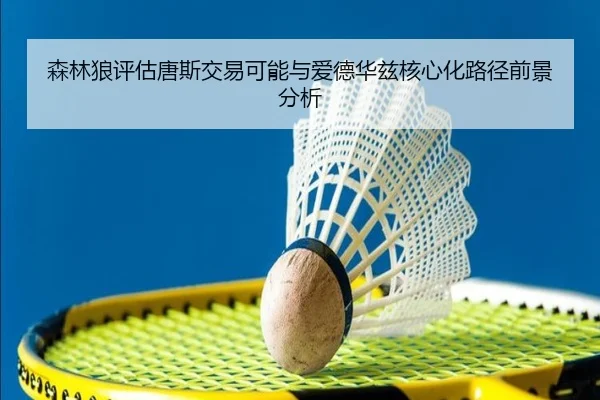 森林狼评估唐斯交易可能与爱德华兹核心化路径前景分析